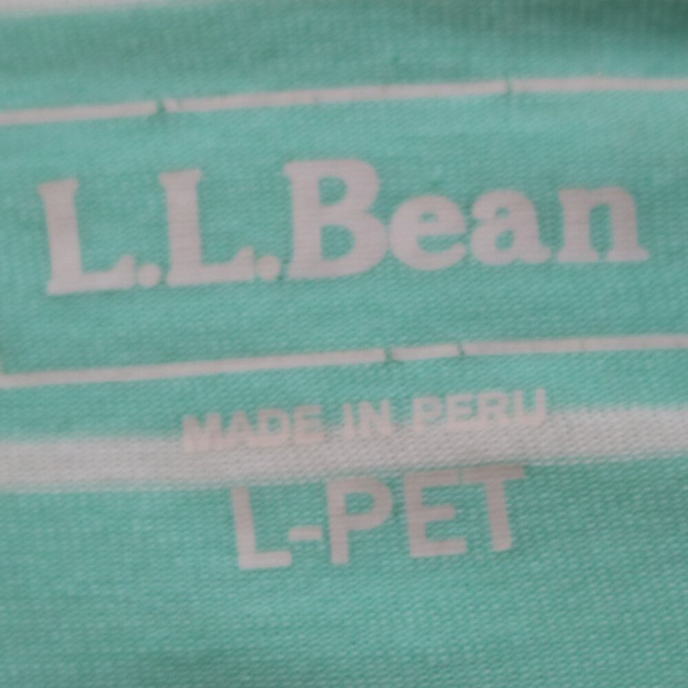 LL Bean Petite Mint w White Stripe Supima Modal Boatneck Long Sleeve Tee Sz LP - Picture 9 of 10